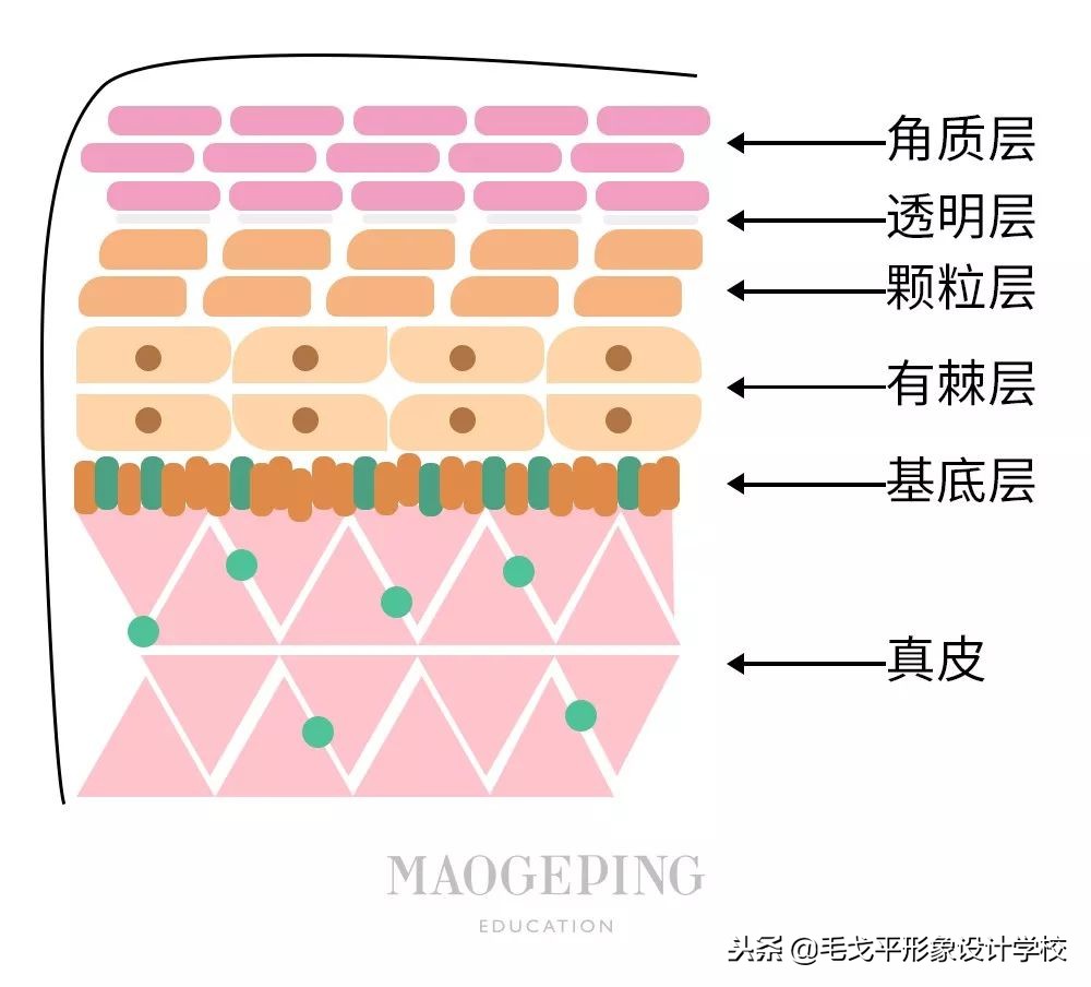十大谣言护肤骗局揭秘图片,2018十大护肤谣言
