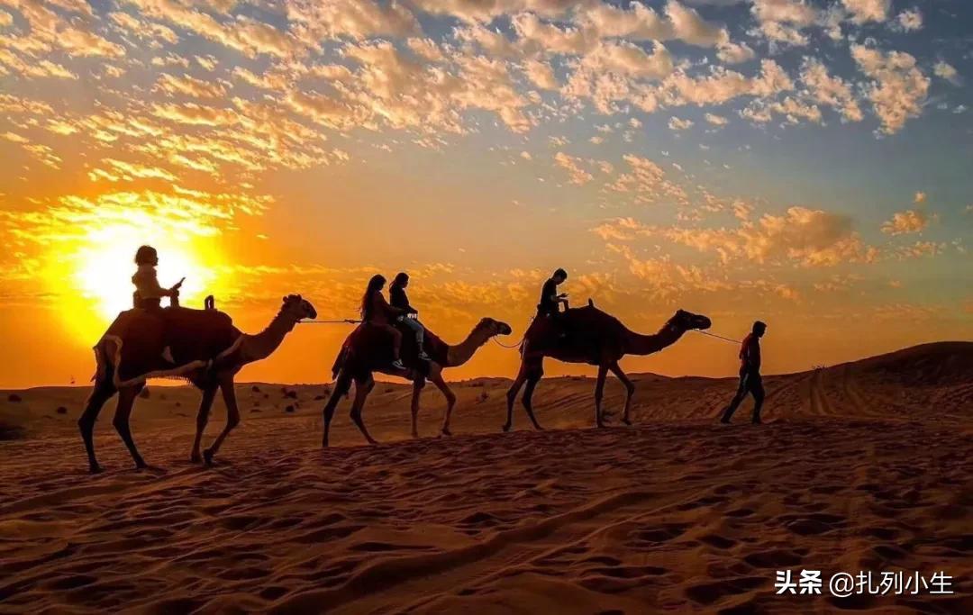 玩转阿联酋迪拜 (海陆空玩转迪拜)