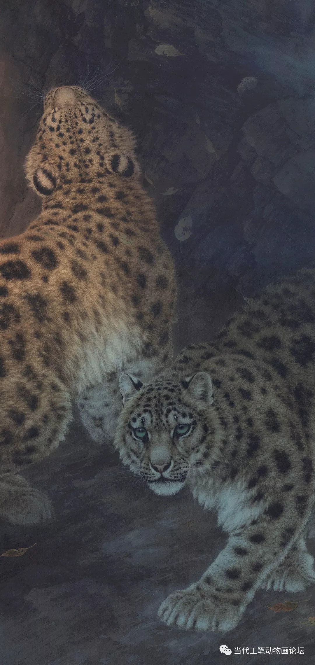 免费学工笔画,最全的画虎技法收集