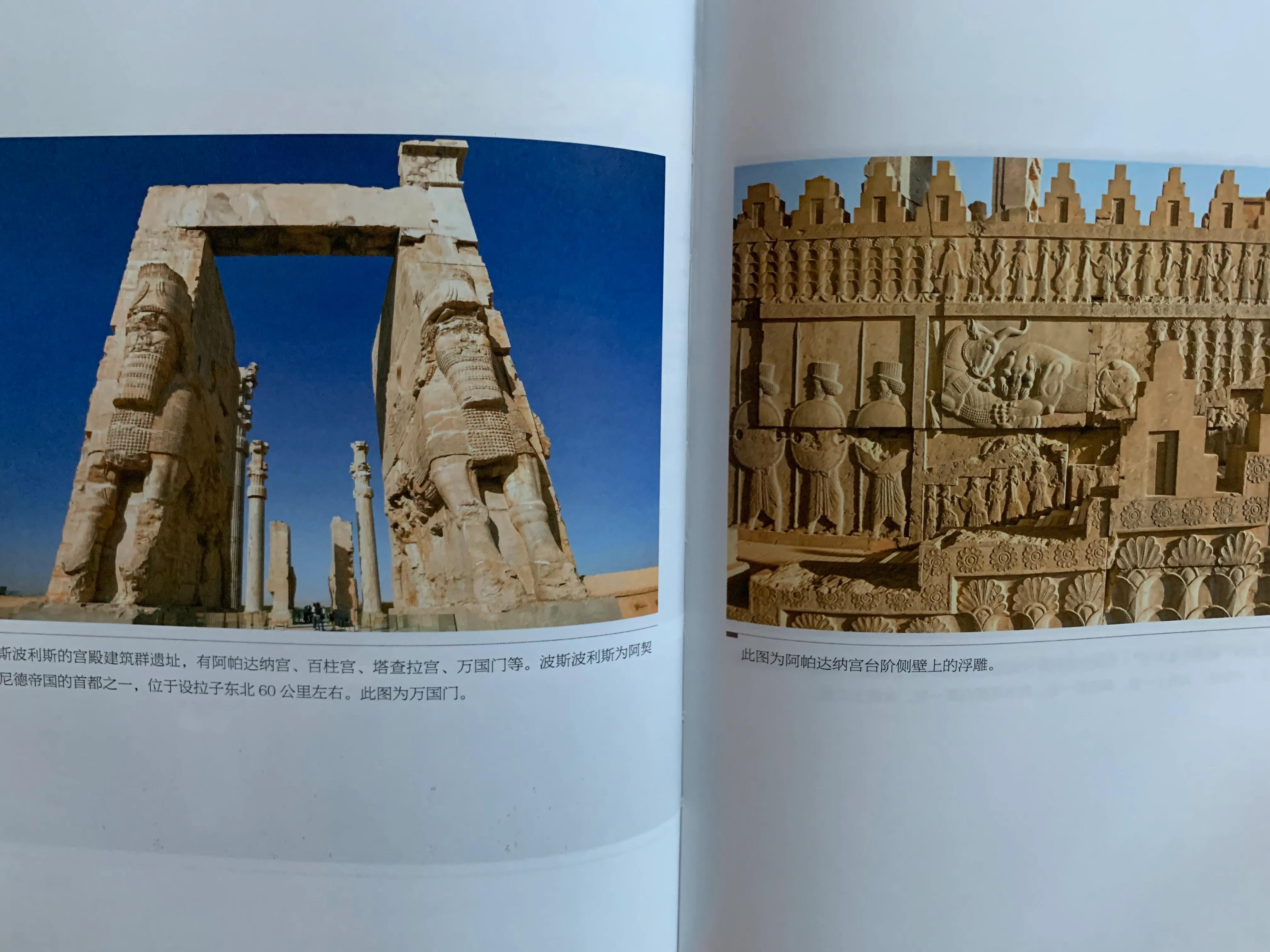 读历史感悟,读历史书感悟一句话