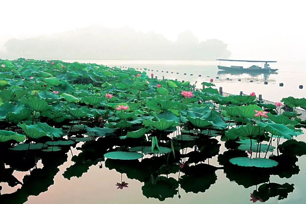 武汉地铁11号线延伸到鄂州机场,鄂州花湖机场地铁