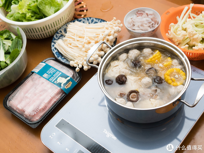 钛古电磁炉100瓦实测,钛古电磁炉推荐家用