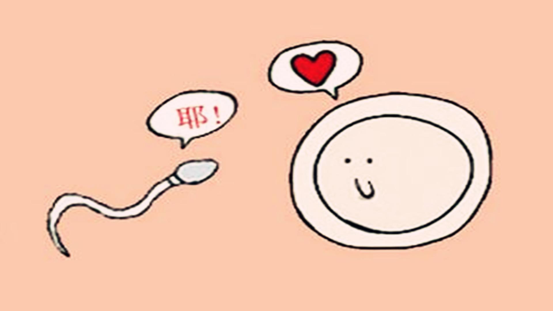 怀孕10天的时候，准妈妈有这些感受，预示着可能已备孕成功