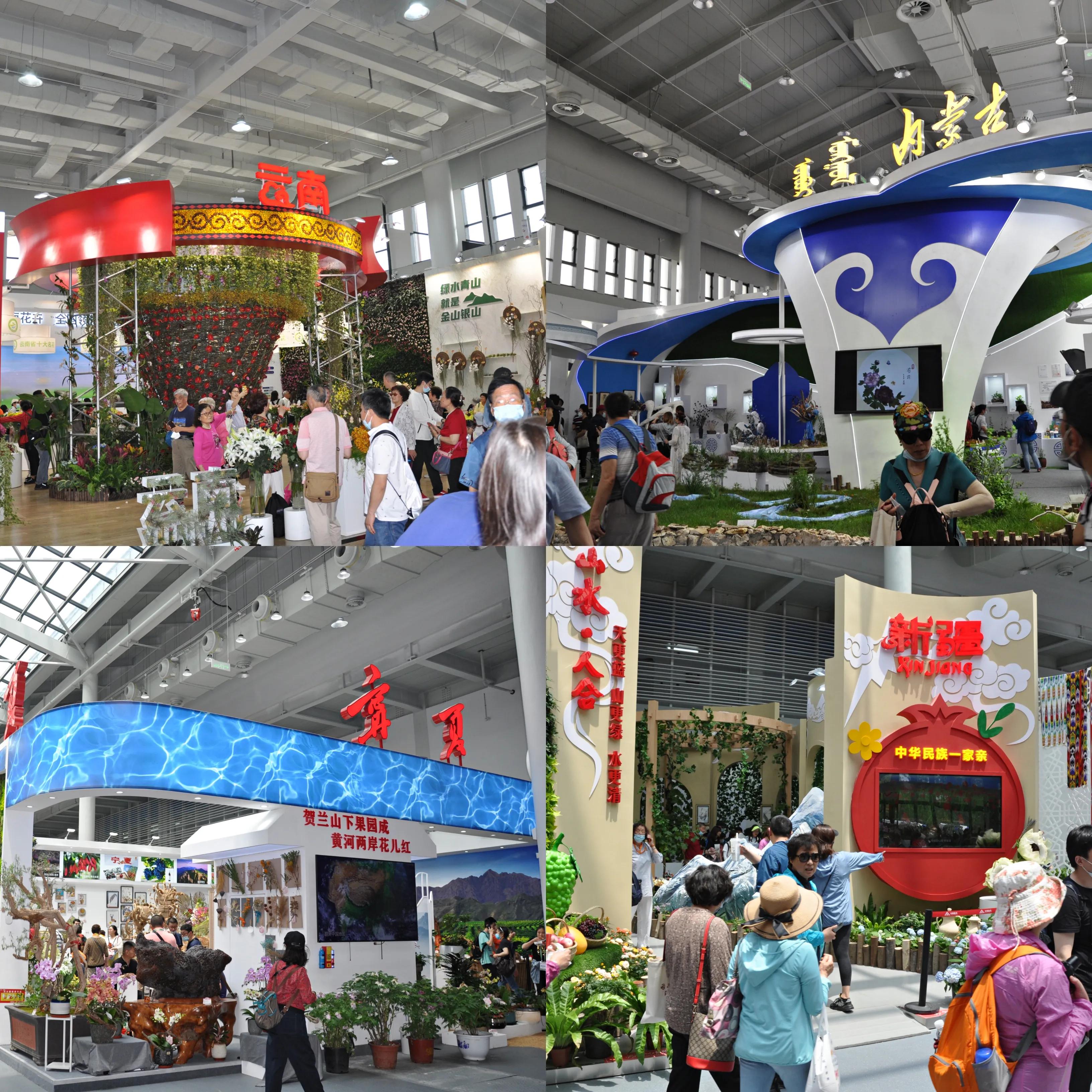 漳州东南花都花博会巡游,花博会花神巡游打卡