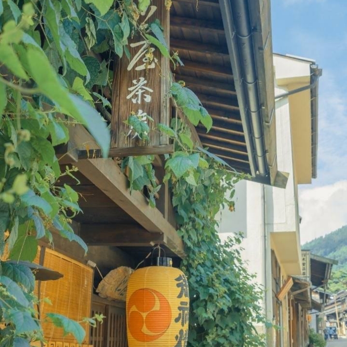 如何治愈原生家庭带来的伤害课程,该怎么治愈原生家庭带来的伤害