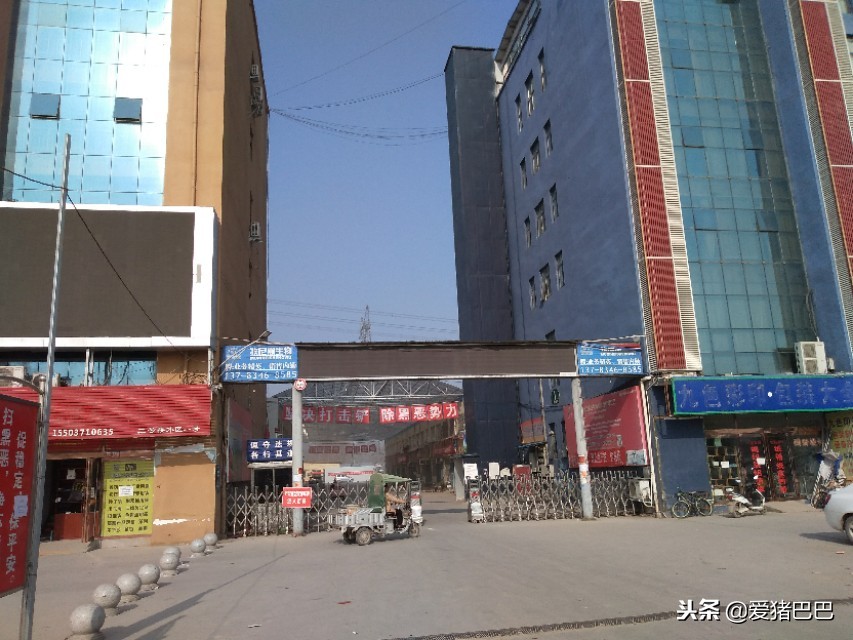 郑州市兽药批发市场哪个最大,全国最大兽药饲料批发市场