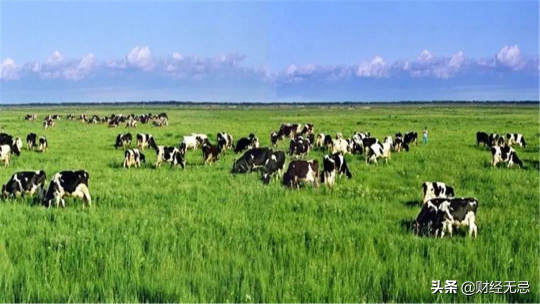 伊利靠什么领先蒙牛200亿,连续六年全国销量领先