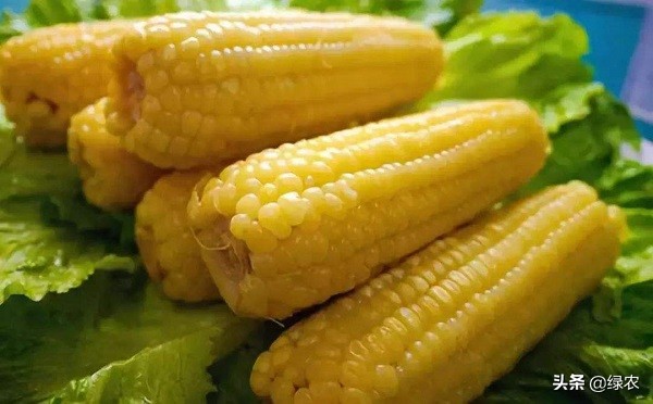 哪个玉米最好吃卖得最快,玉米最好吃的是哪种