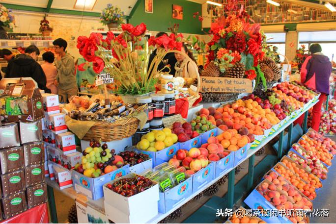 13天自驾新西兰，这个不缺蓝天与绿草的国度无比的热情富有生命力