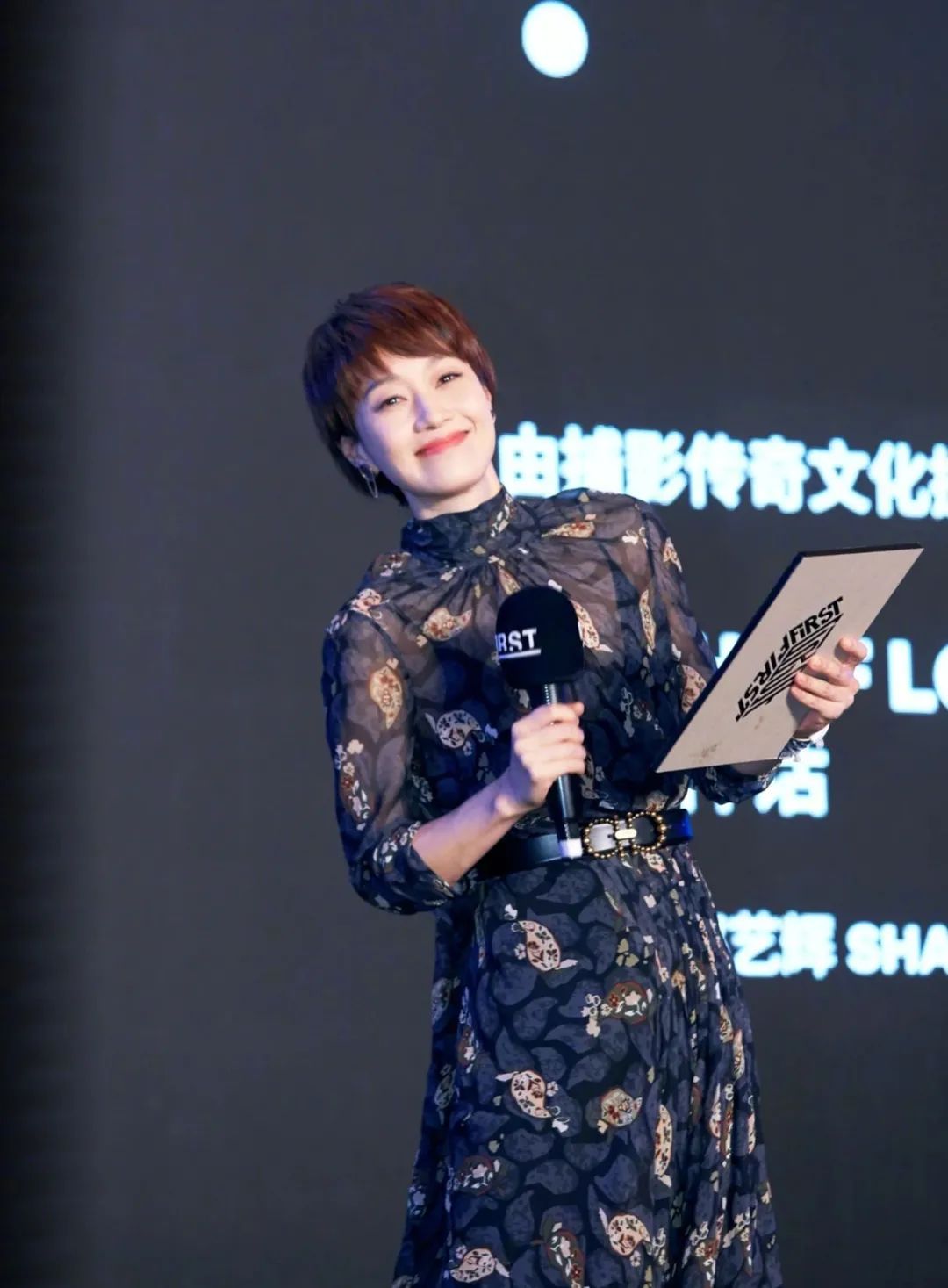 马伊琍基本资料,马伊琍的美丽人生