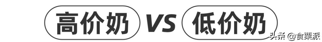 喝了12瓶牛奶,喝过最好喝的一款牛奶