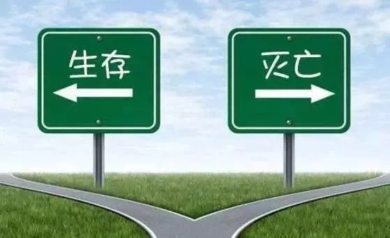 淘客加盟软件,淘客代理系统小程序