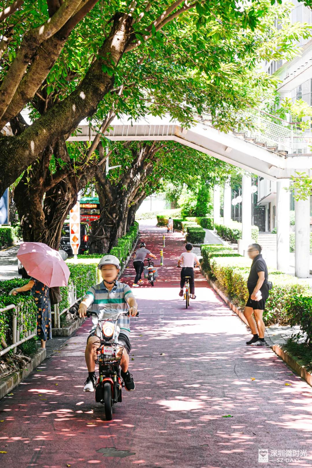 华侨城一期西区,华侨城发展历程