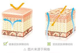 十大湿疹药膏不含激素纯中药,婴儿湿疹膏不含激素十大排行榜