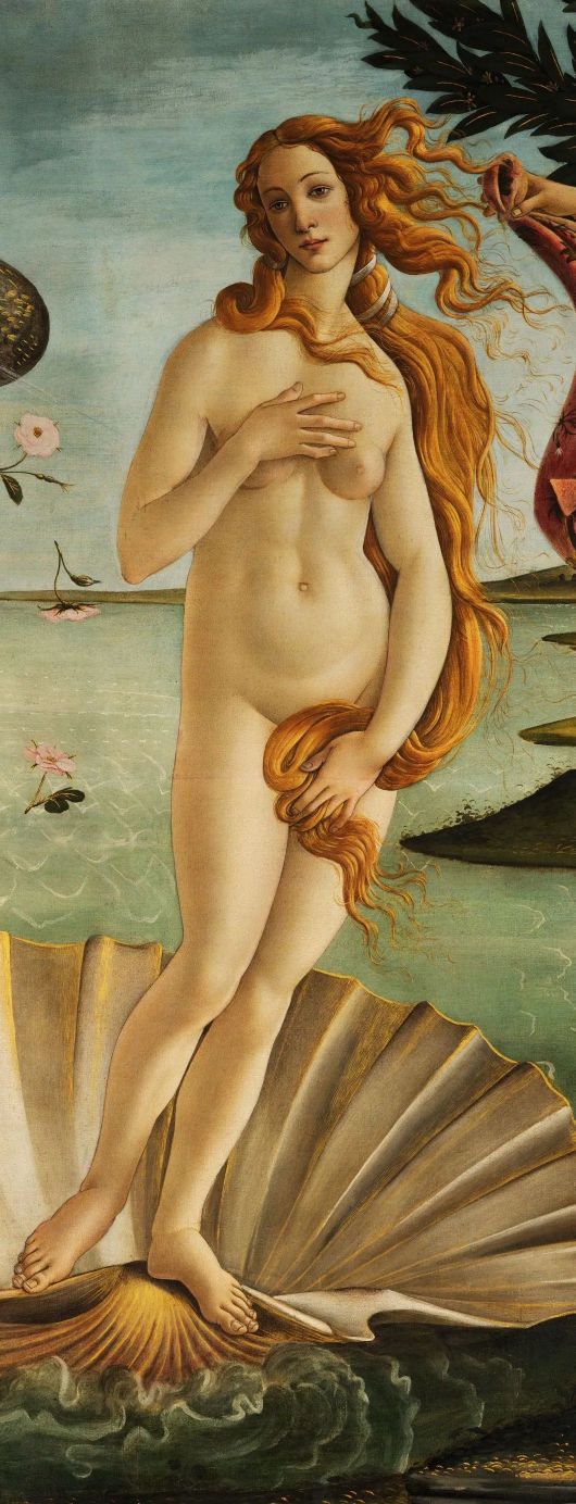 画家维米尔和波提切利,波提切利是哪个国家的画家