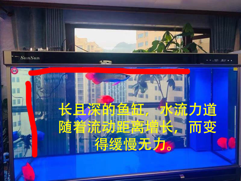 底滤鱼缸里的鱼粪抽不走怎么办,底滤鱼缸为什么吸不走缸底的粪便
