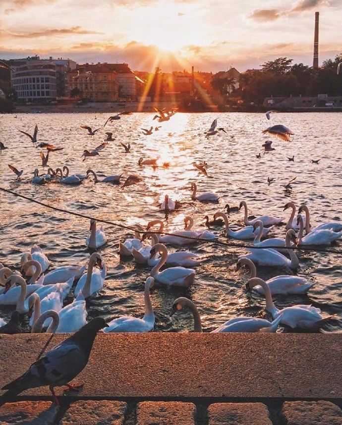 不忘初心方得始终的下一句,晚安励志语录不忘初心方得始终