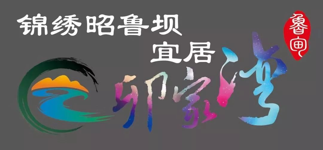 497名云南籍务工人员乘专列返岗,457名务工人员乘坐务工专列返岗