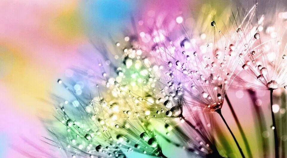 6篇满分作文,满分作文被打零分