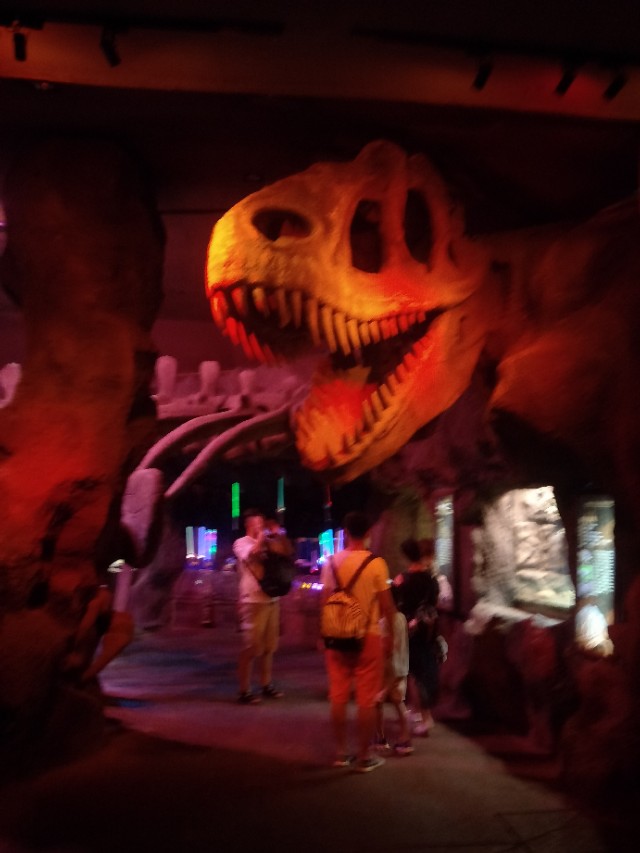 抚顺皇家海洋乐园冲浪馆图片,抚顺皇家极地海洋乐园视频