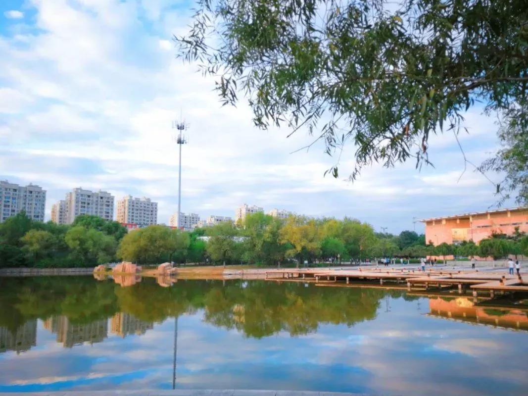 沈阳理工大学辽宁工程技术大学,沈阳理工大学专科院校