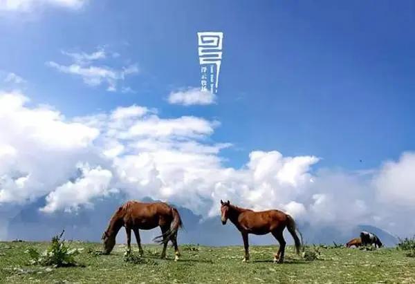 浮云牧场,“爆红”前后带给我们什么启示?