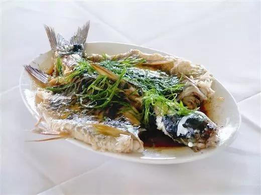 长江白鲟世界最大淡水鱼,中华鲟娃娃鱼