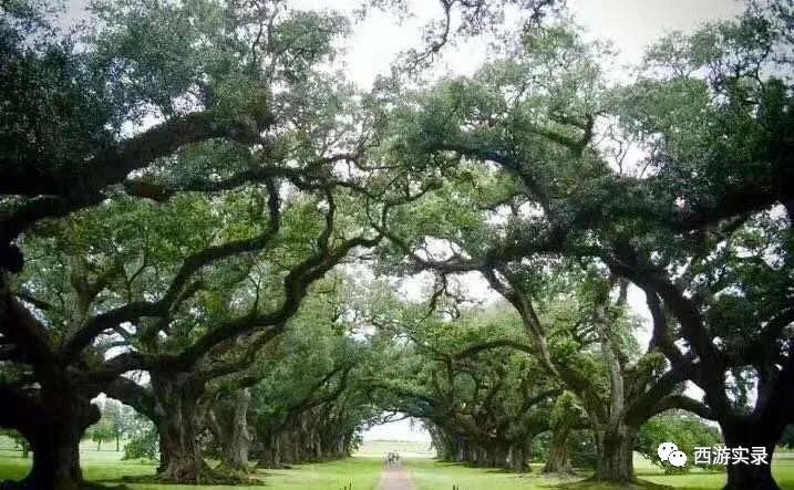 一个普通人，为了梦想，走了半个地球