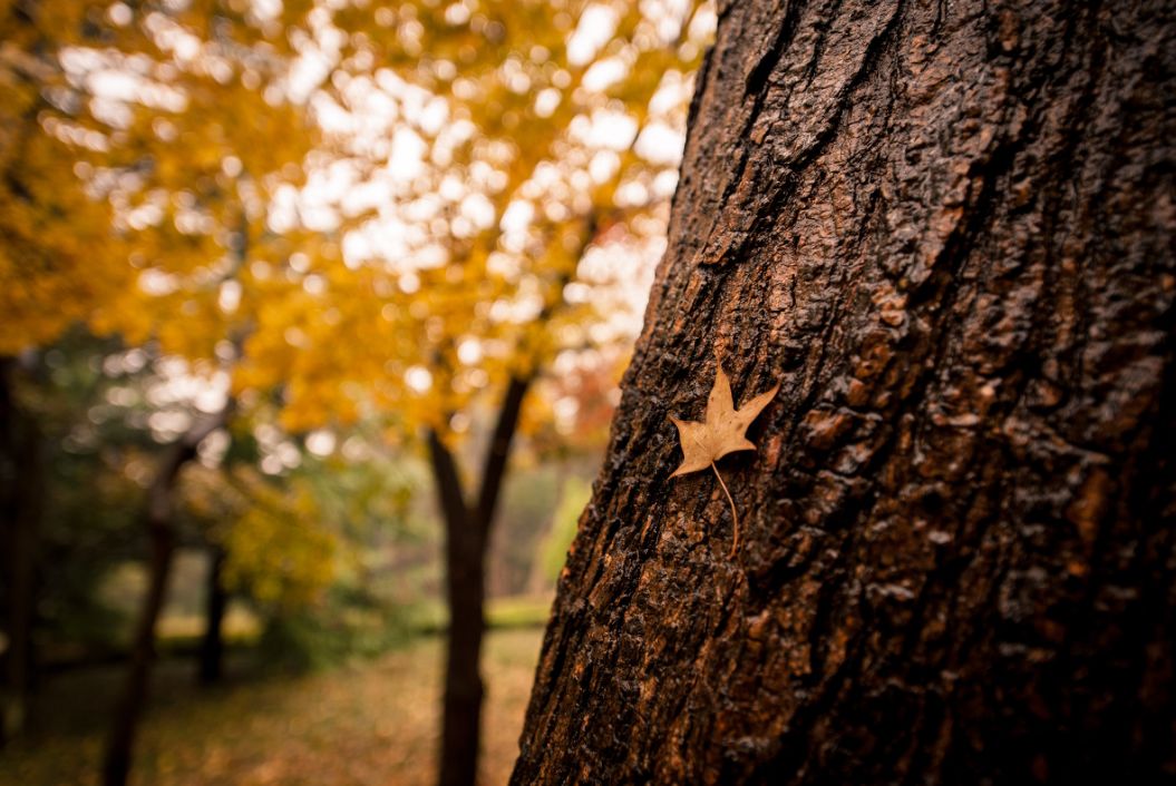 2020旅行时间表,2021年旅行时刻表出炉