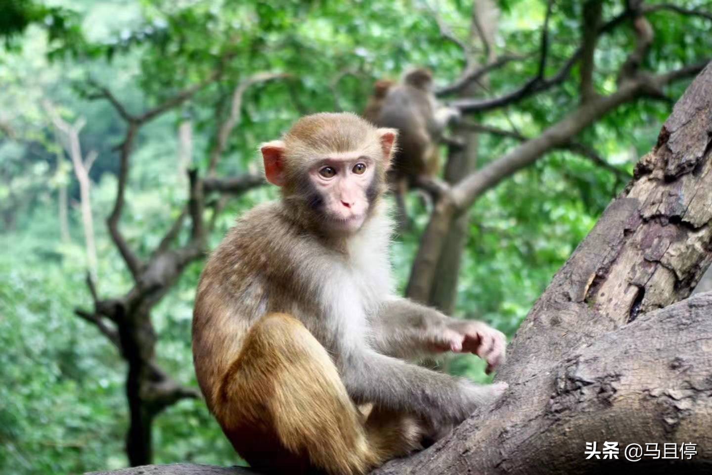 中国十大美丽城市贵阳，第一次来怎么玩？这些旅游贴士值得提前看