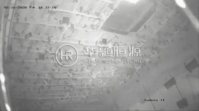 秋天来了,养肺防燥,当属燕窝