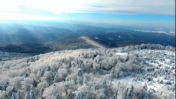 印象长白山森工地址,印象长白山森工怎么样