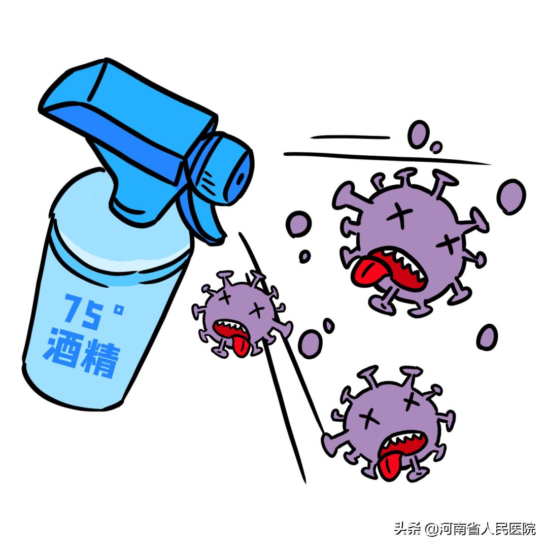 螃蟹怎么吃正确千万不要吃错了,螃蟹怎么吃对身体最好