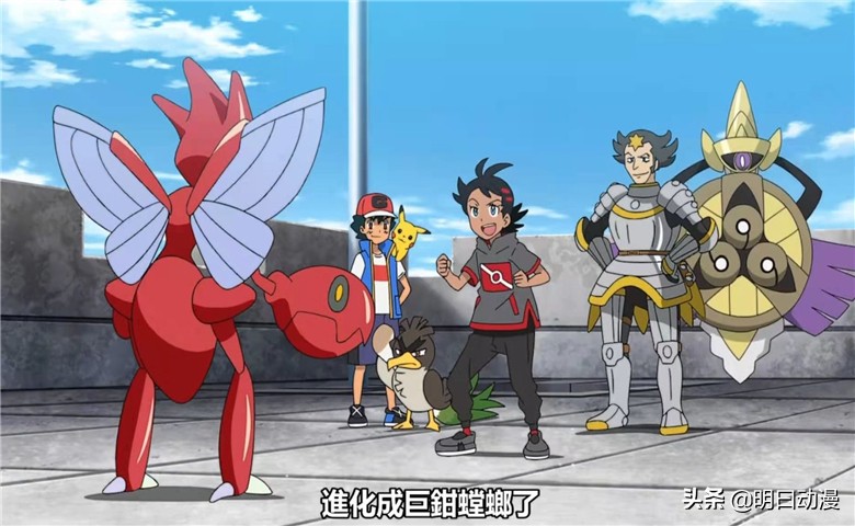 精灵宝可梦小豪参加锦标赛,精灵宝可梦小豪知道泪眼蜥进化了
