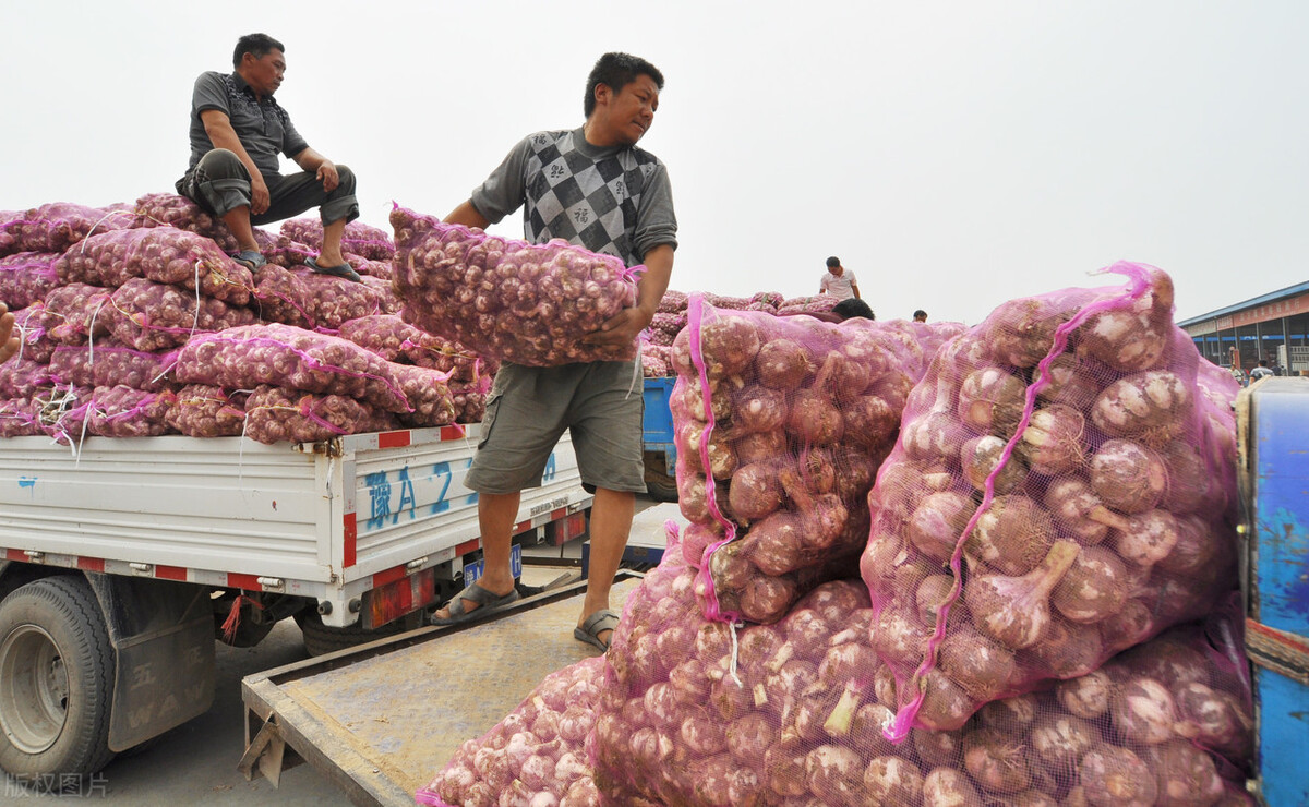 郑州为什么发展港区,为什么要大力发展郑州