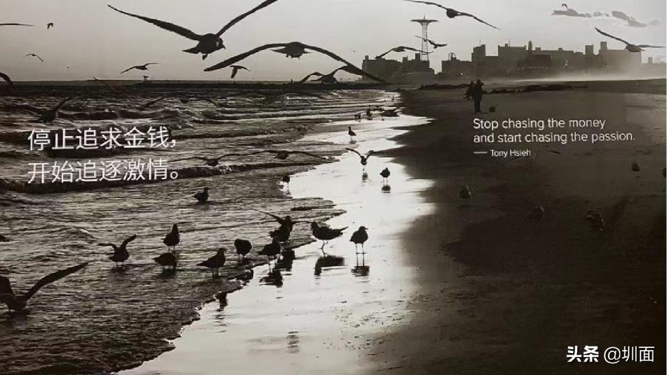 顺电体验,好的体验和感受一定是双向的