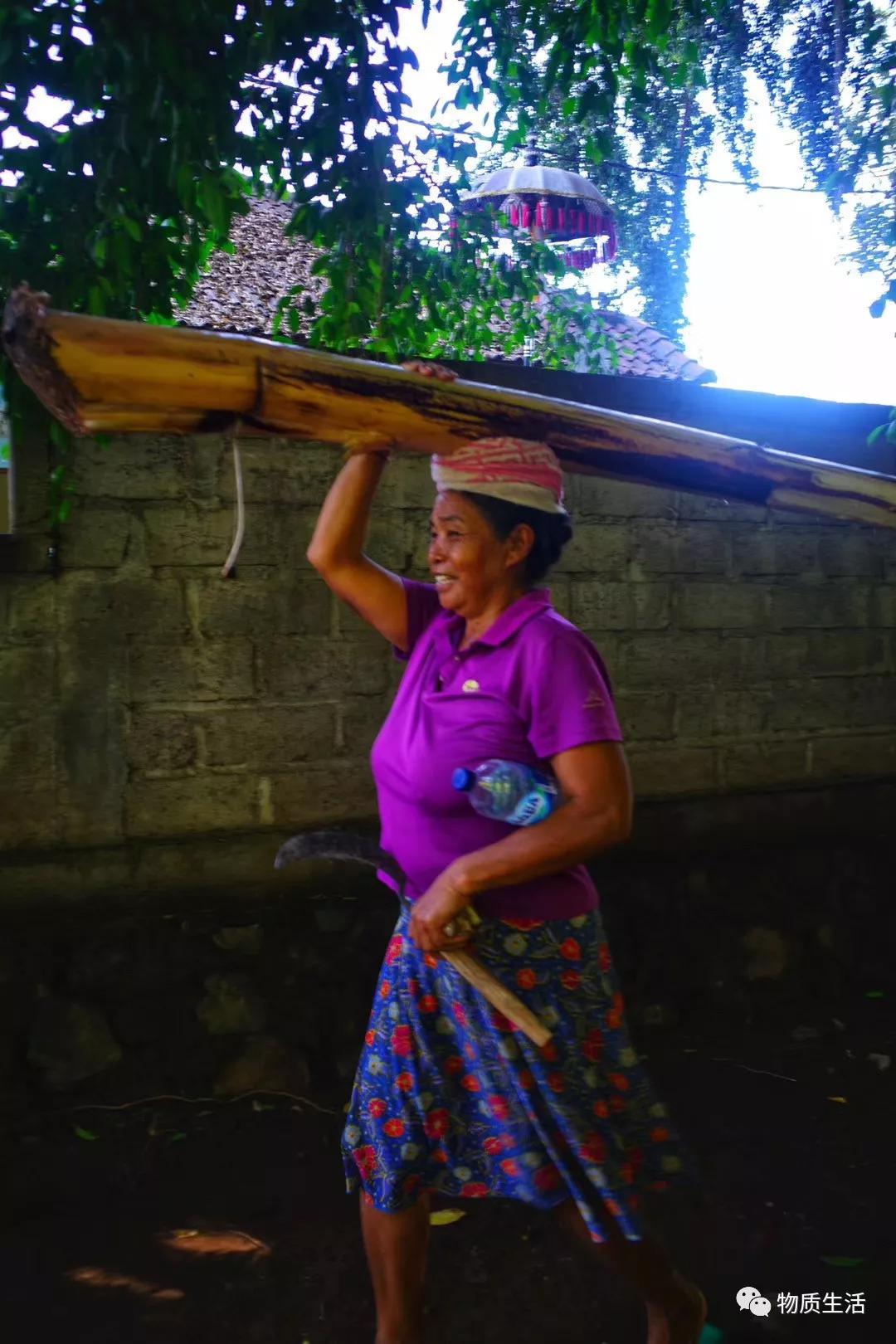 巴厘岛四季如夏吗,阳光明媚的巴厘岛