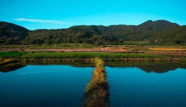 海南海陵岛旅游攻略,阳江海陵岛住宿攻略