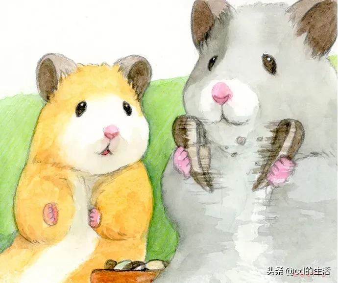 m78基因跟吃香菜有什么关系,不喜欢吃香菜的科学原因