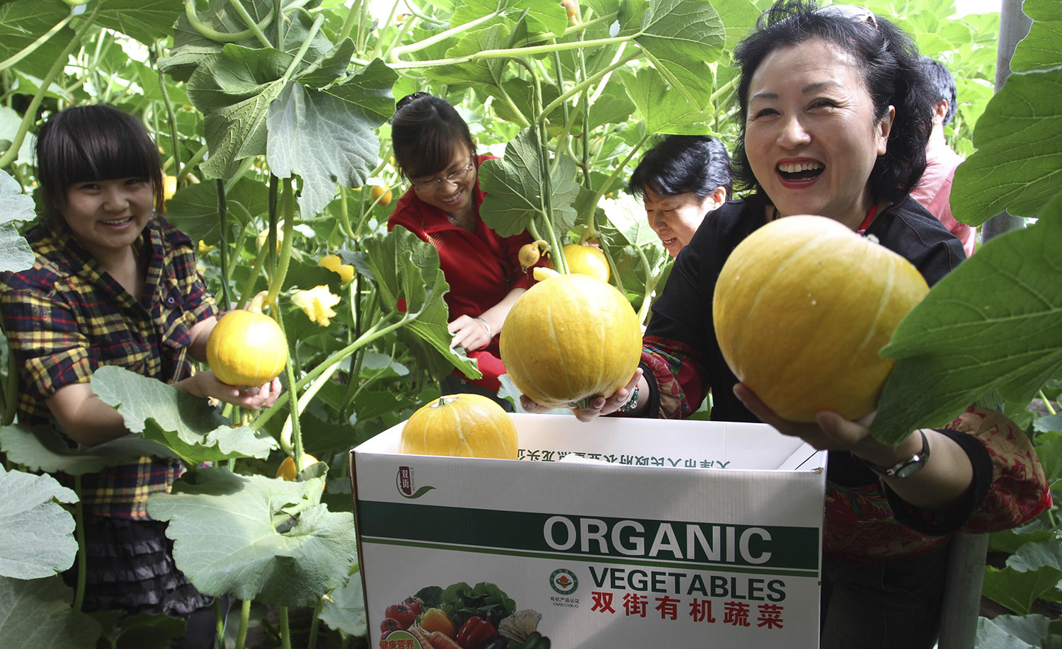 这是我的村庄,北辰区双街镇双街村