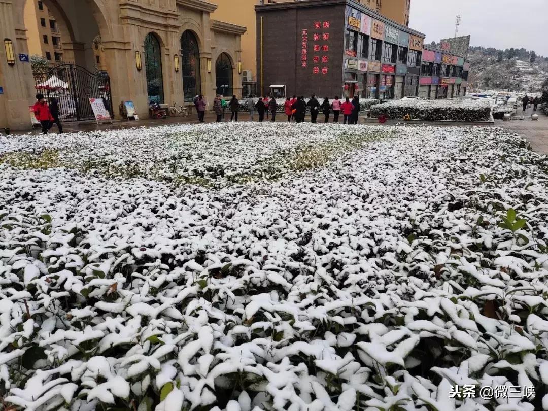 宜昌列车停运,宜昌动车晚点最新信息今天