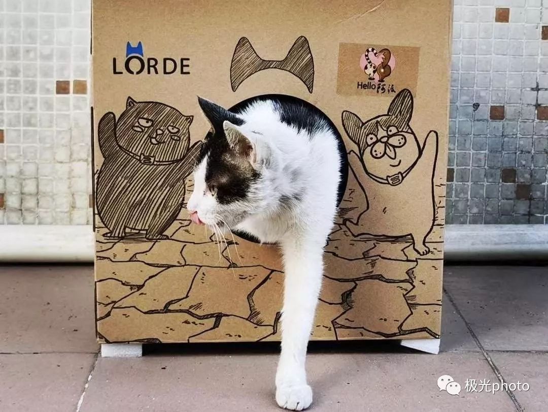 我们身边的姐妹这样记录她们的「非常」生活