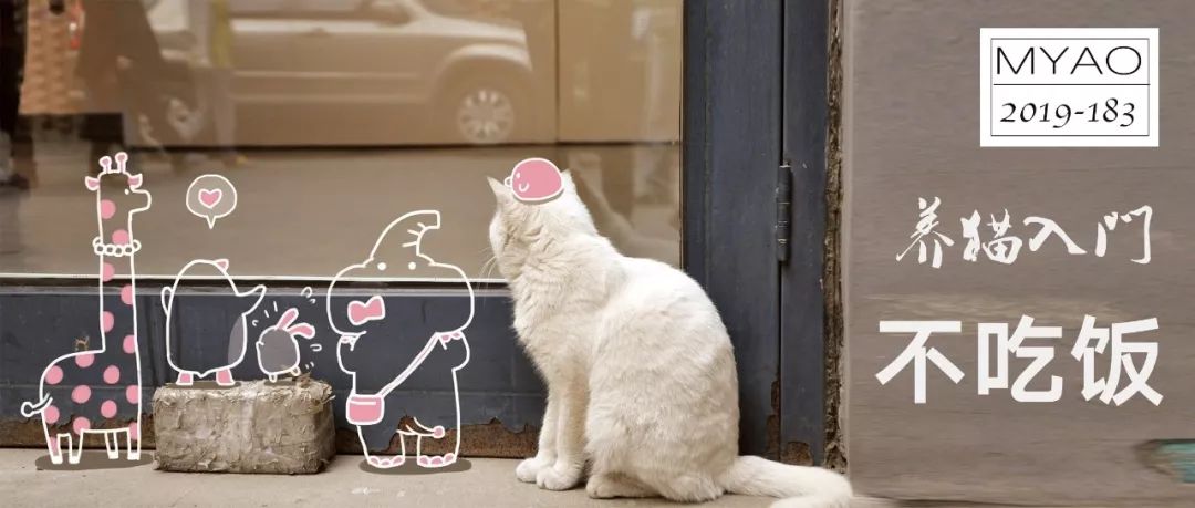 猫咪突然食欲不振是什么原因,猫咪眼屎多食欲不振精神不好