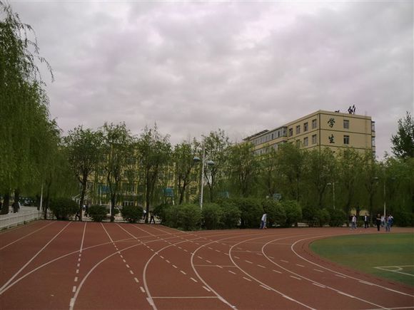 沈阳大东区私立小学排名,沈阳于洪区私立小学有哪些