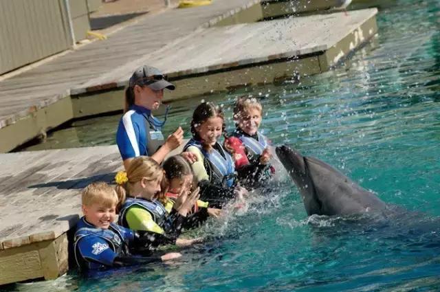 a上帝的宠儿114,上帝的宠儿阅读答案