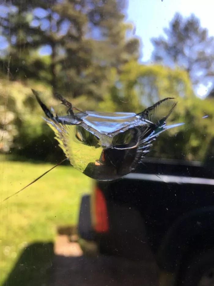 神奇的大自然巧合图片,大自然的神奇巧合惊人的史前文明