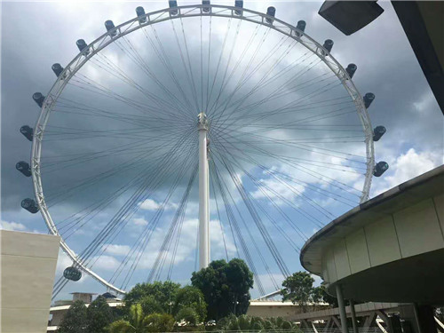 新加坡留学准备物品,新加坡留学必备药品清单