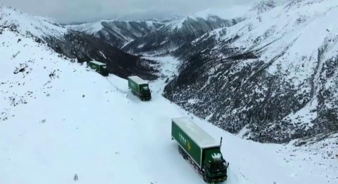 被吐槽龟速的邮政,龟速邮政