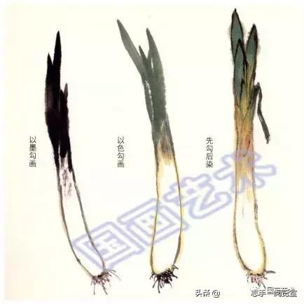 八种常见蔬菜画法,各种蔬菜画法