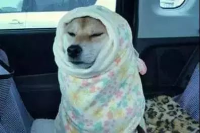 春节返季旅行地大推荐,圣诞元旦旅游出行攻略